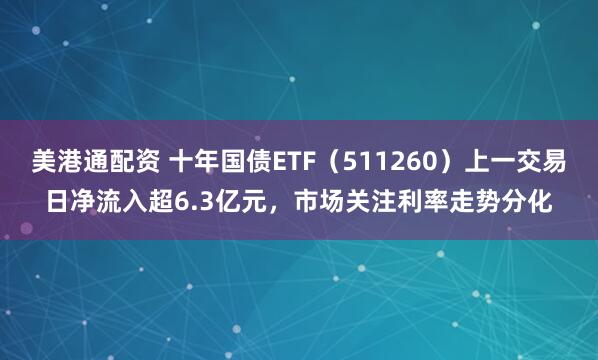 美港通配资 十年国债ETF（511260）上一交易日净流入超6.3亿元，市场关注利率走势分化